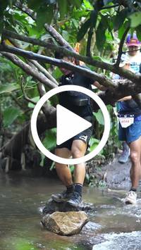 BIB:  <button type="button" onclick="openModal(27808232)" class="btn btn-primary btn-sm float-right" data-toggle="modal" data-target=".modal-high-quality">
                <i class="fa fa-download"></i> Download
                </button>